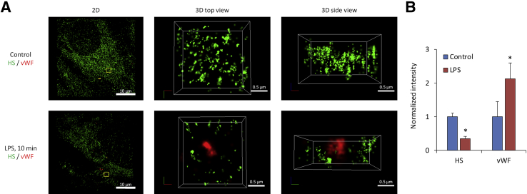 Figure 3