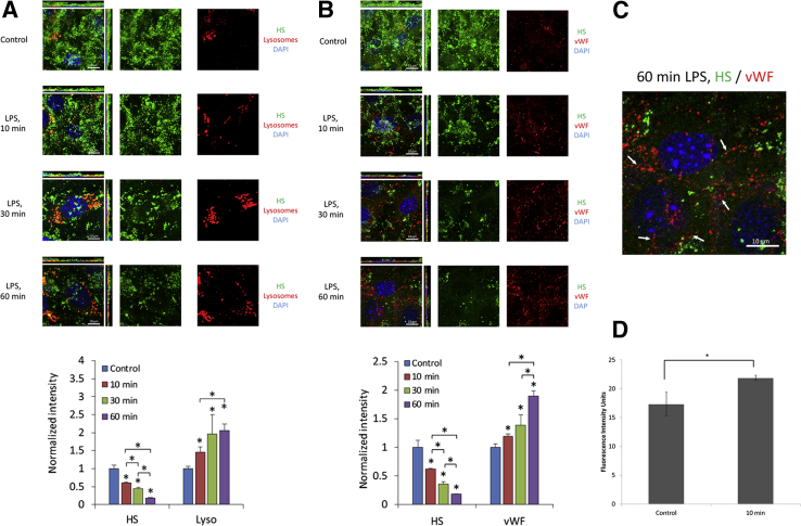 Figure 4