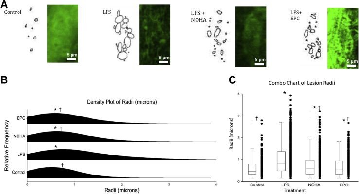 Figure 6