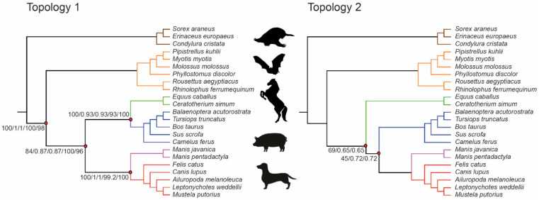 Figure 5