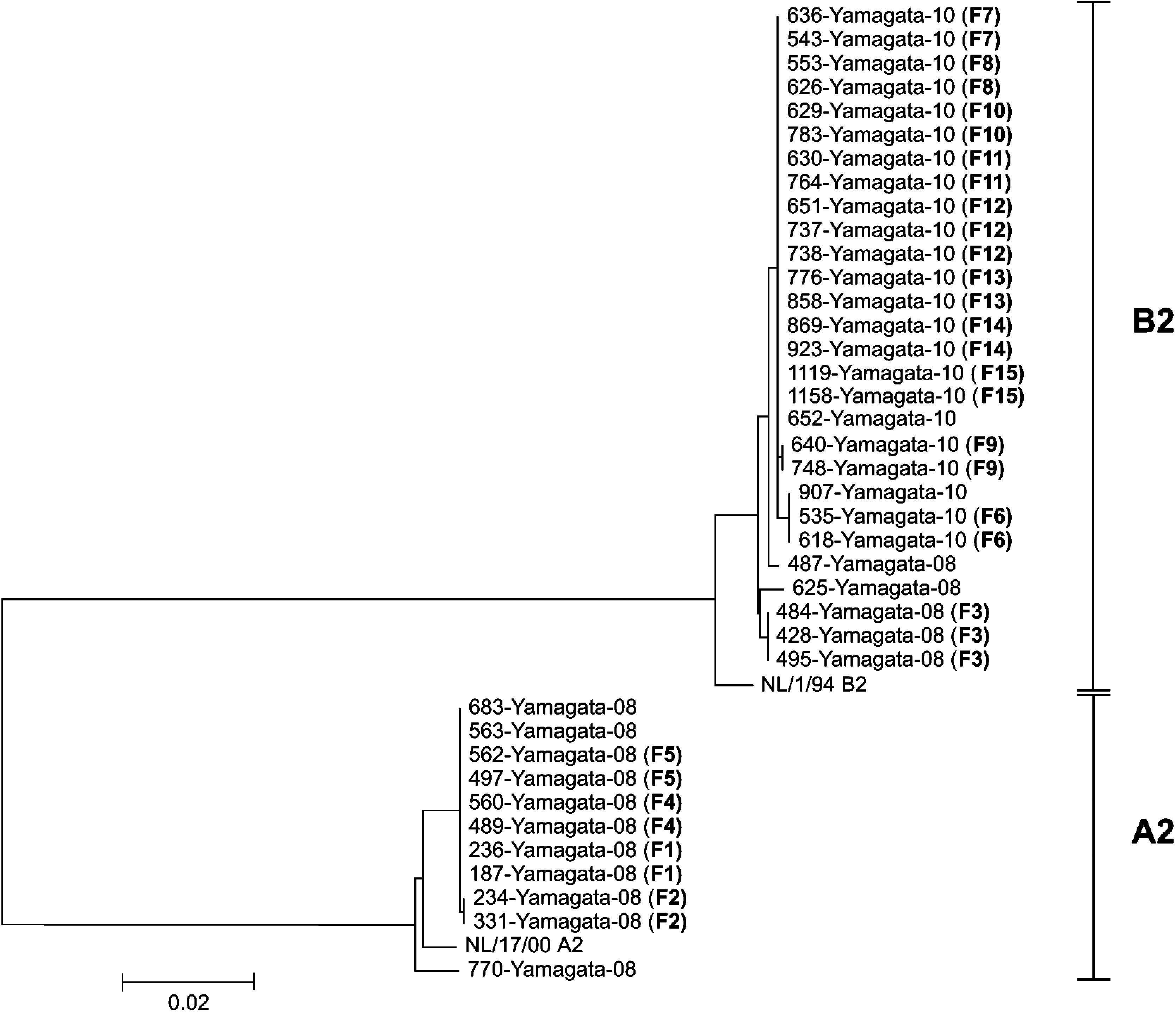 Fig. 3.