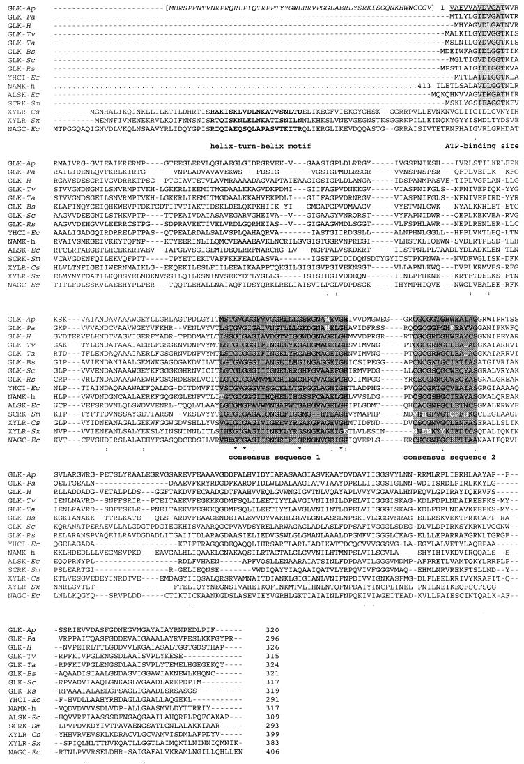 FIG.4.