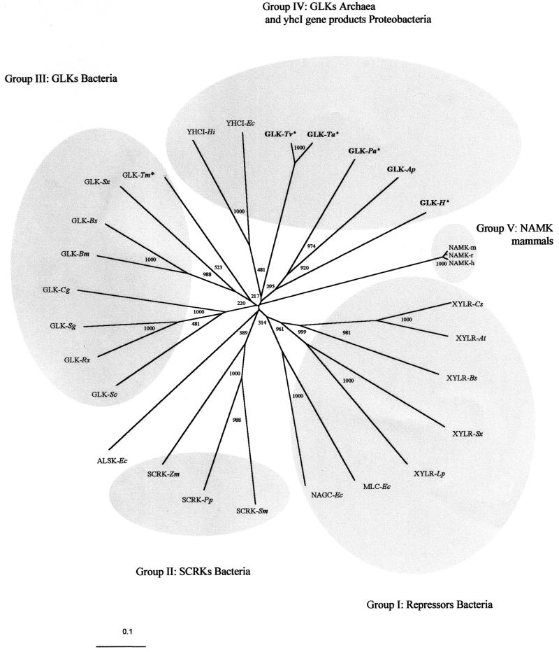 FIG. 5.