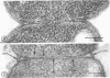 FIG. 8.