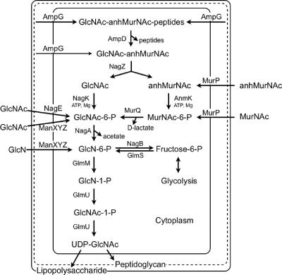 FIG. 7.