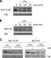 Fig 5
