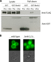 Fig 9