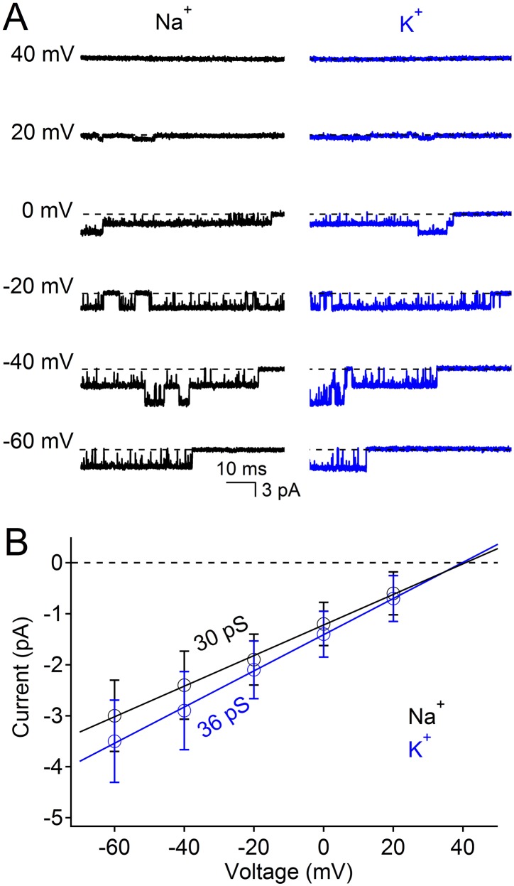 Figure 2—figure supplement 1.