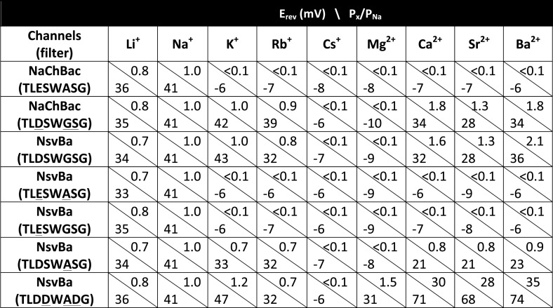 Figure 4—figure supplement 2.