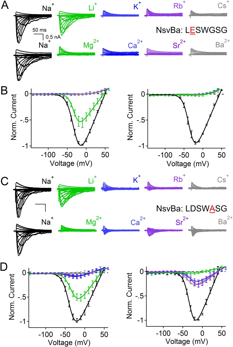 Figure 3—figure supplement 1.