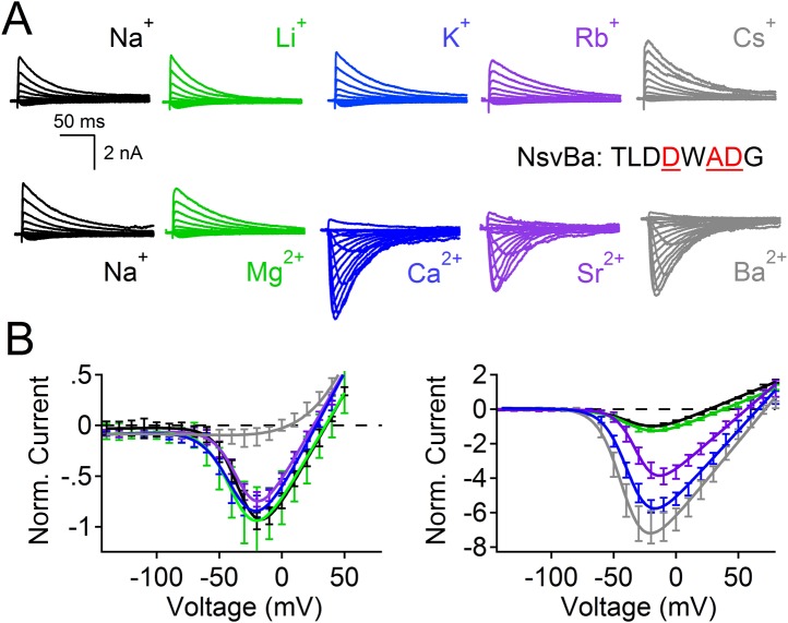 Figure 4—figure supplement 1.