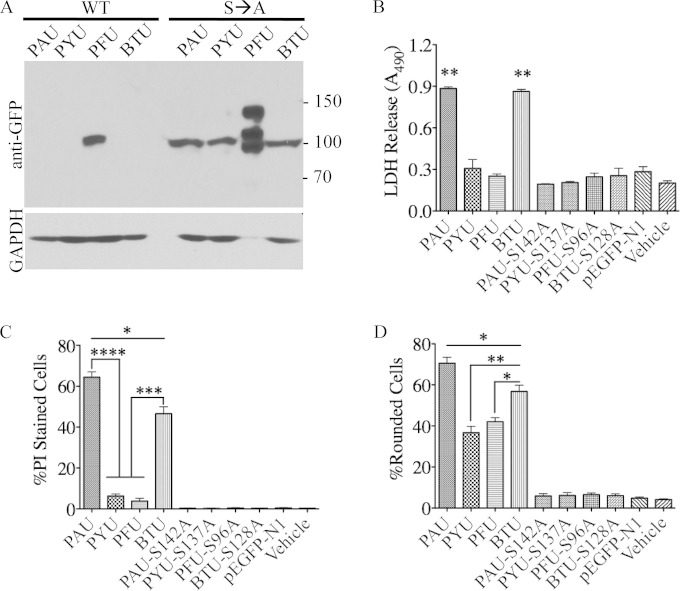 FIG 4