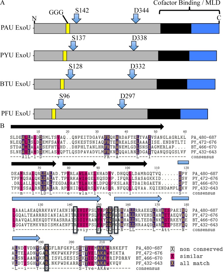 FIG 1