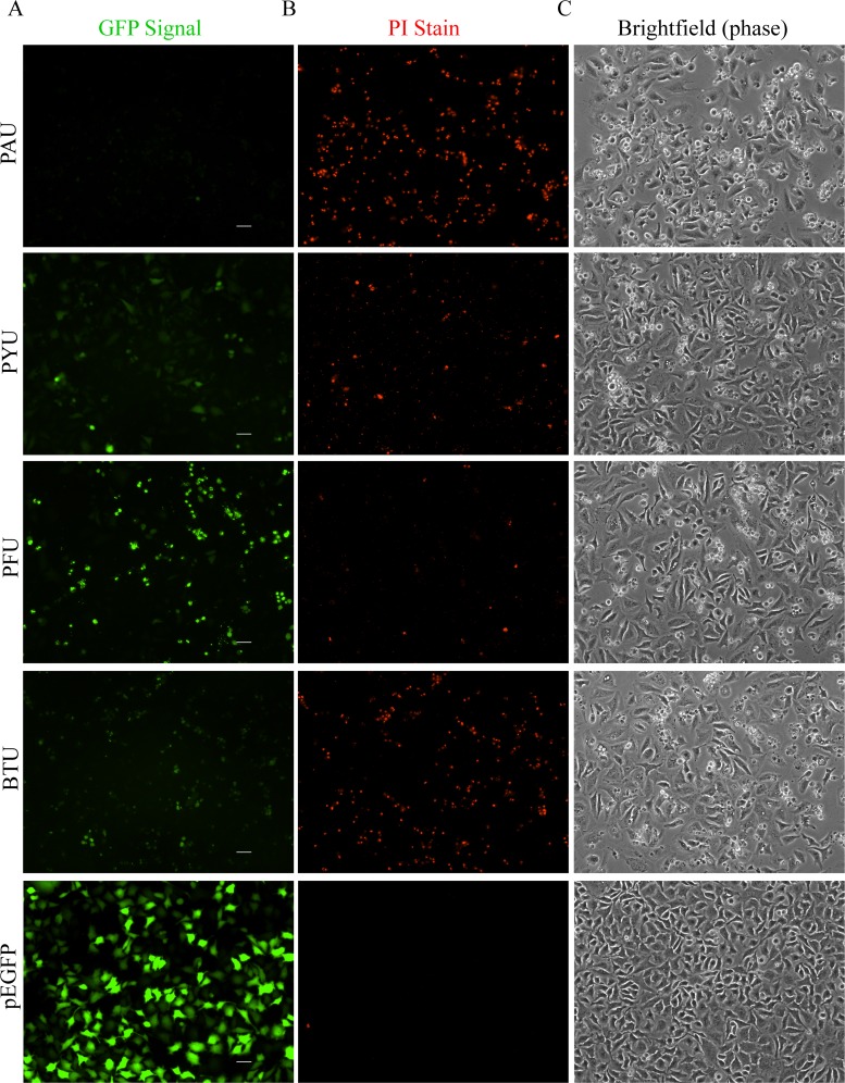 FIG 3