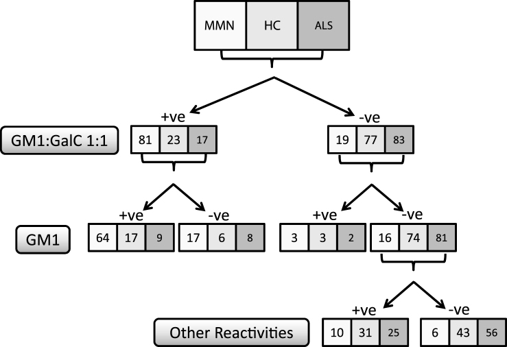 Fig.2