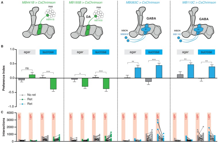 Figure 6—figure supplement 3.