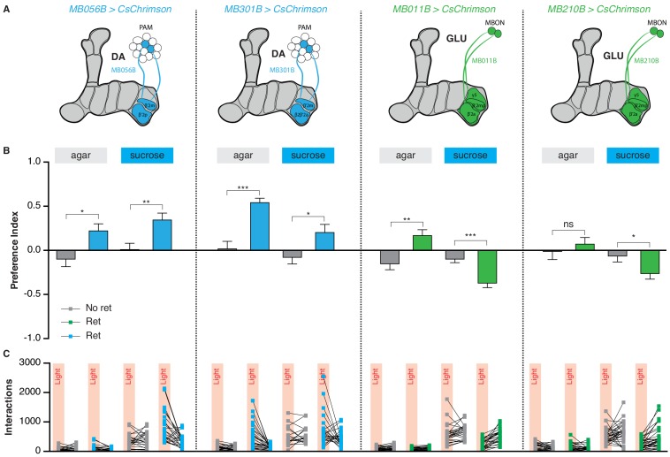 Figure 6—figure supplement 2.