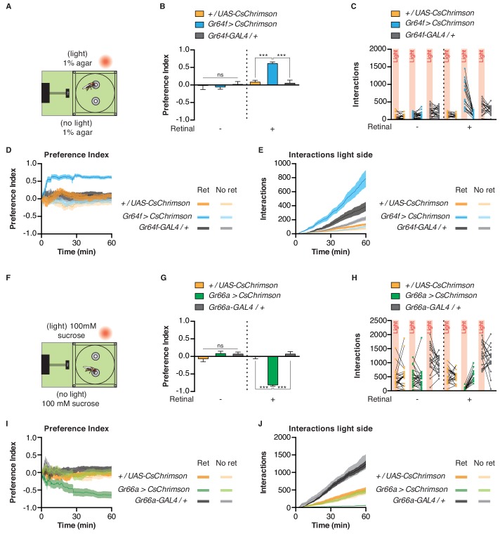 Figure 2—figure supplement 3.