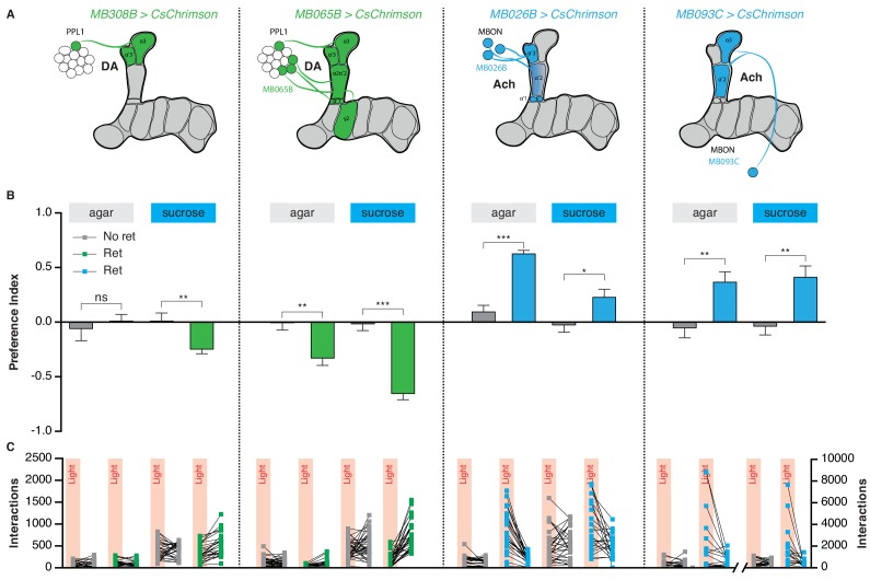 Figure 6—figure supplement 1.