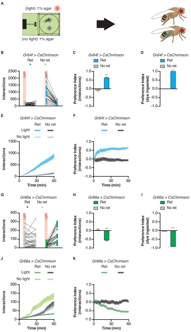 Figure 2—figure supplement 4.