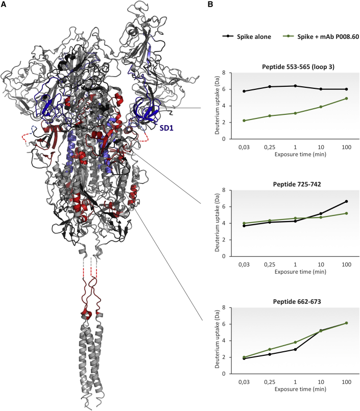 Figure 3