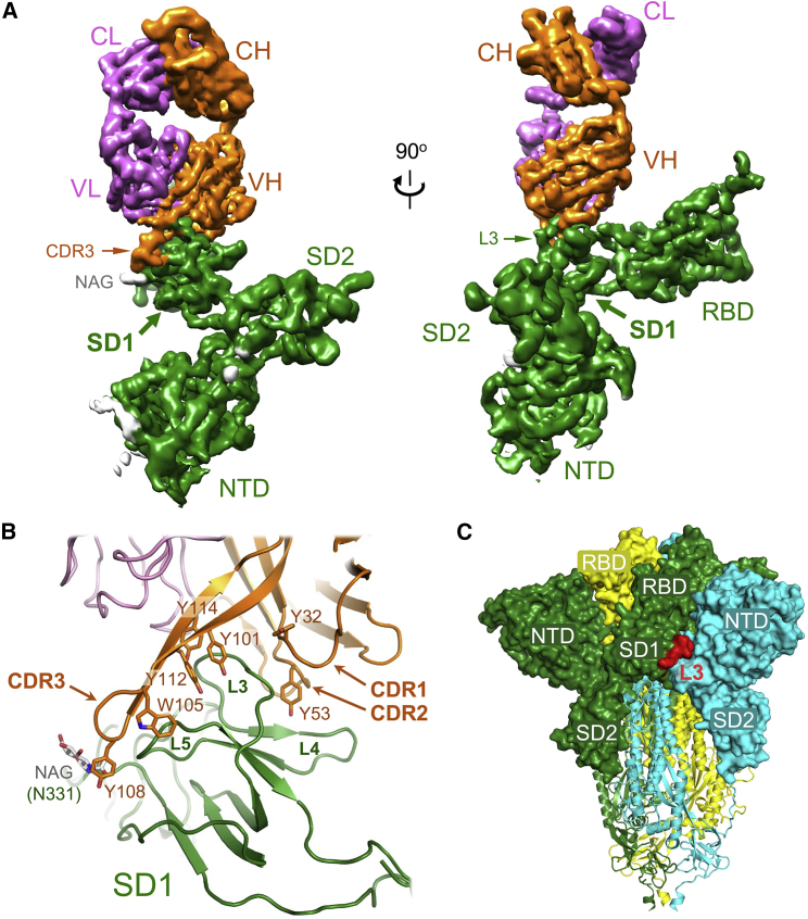 Figure 2