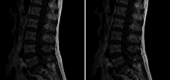 Fig.2