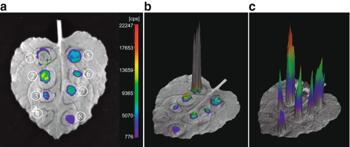 Fig. 2