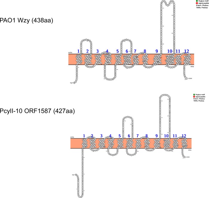 Fig 6