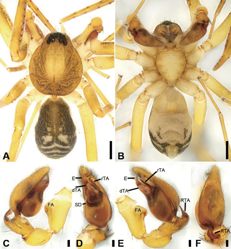 Figure 13.