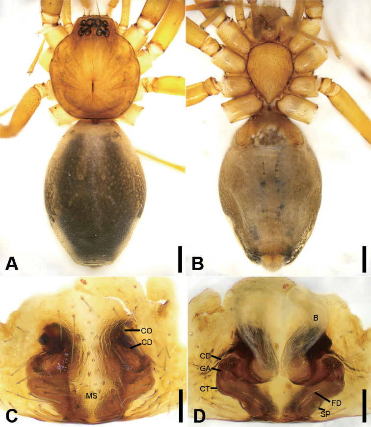 Figure 21.