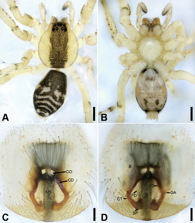 Figure 19.