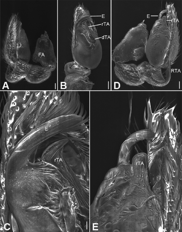 Figure 20.