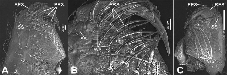 Figure 4.