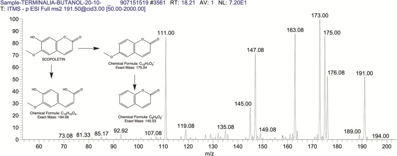 Fig 20