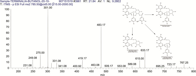 Fig 6