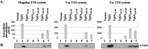 FIG. 5.