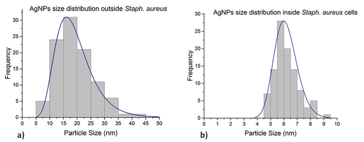 Figure 11