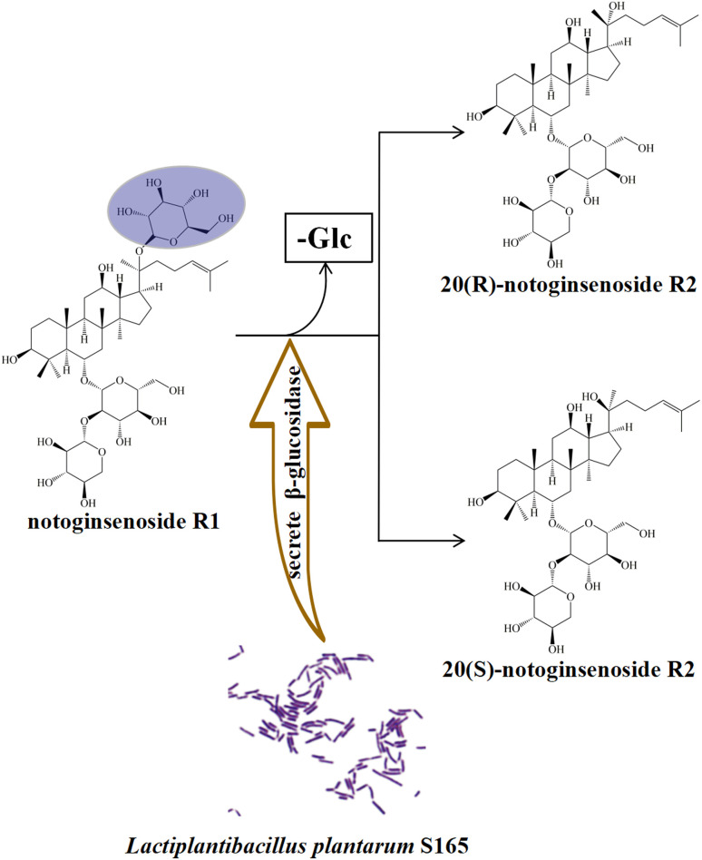 Fig. 4