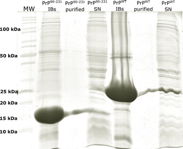 Fig. 2