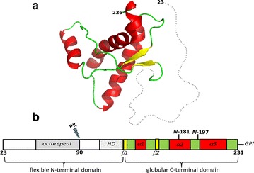 Fig. 1