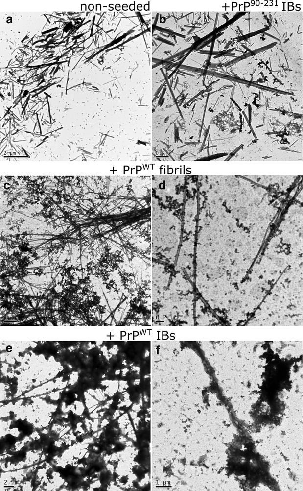 Fig. 9