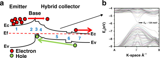 Fig. 2