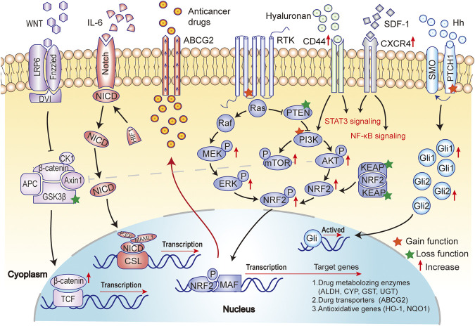 FIGURE 3