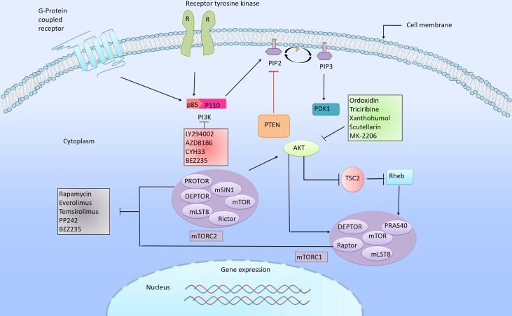 Figure 2