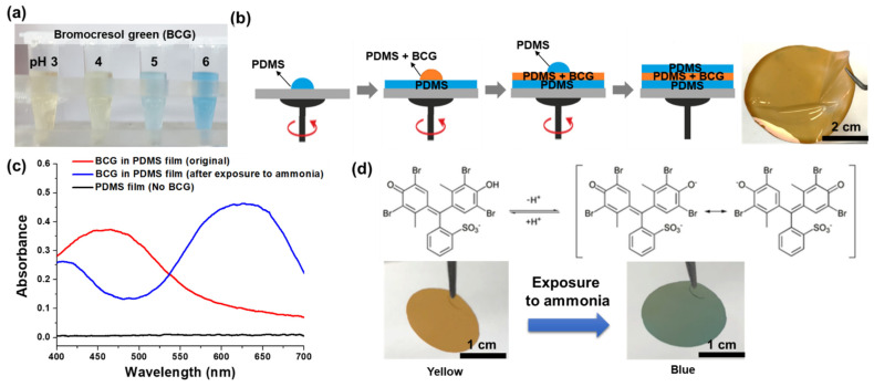 A Flexible And Attachable Colorimetric Film Sensor For The Detection Of