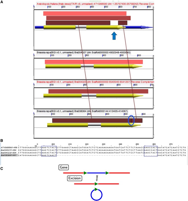 Figure 5 