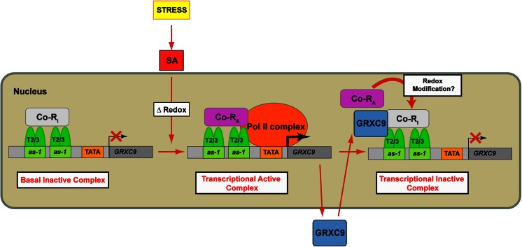 Fig. 7