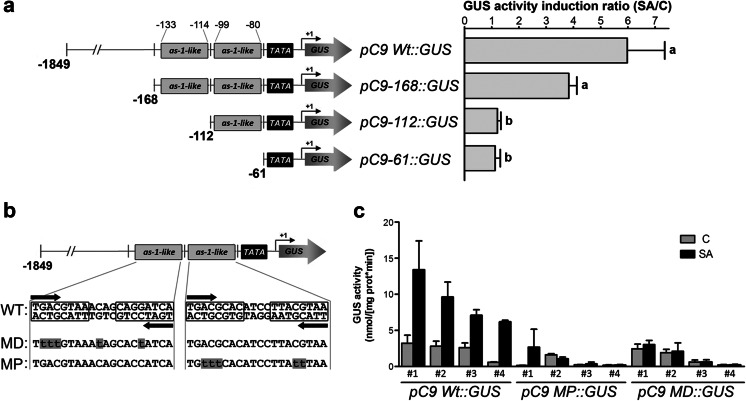 Fig. 2