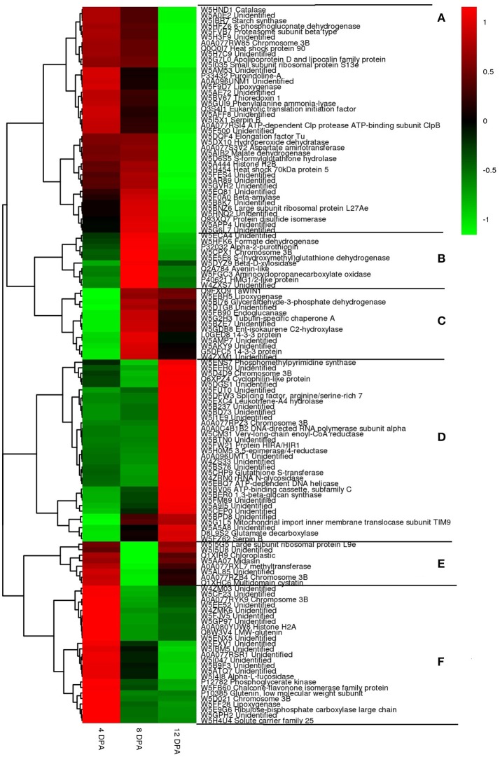 Figure 6